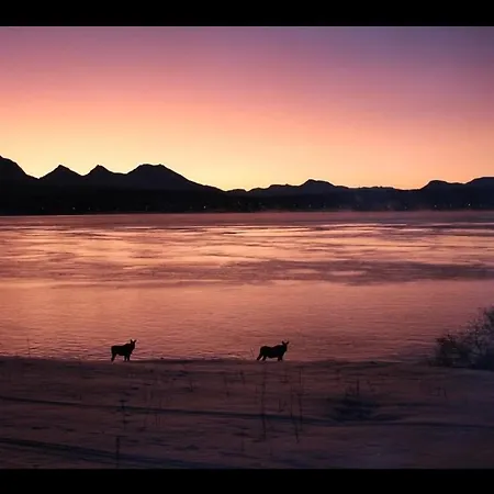 Cc's House アパート *