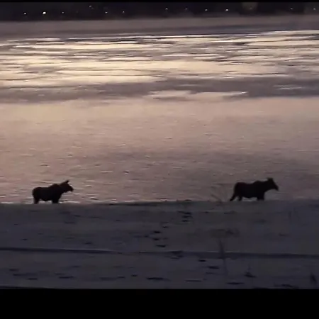 アパート Cc's House