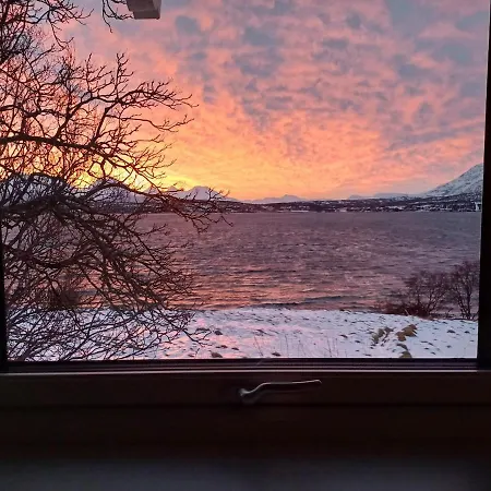 Cc's House アパート *