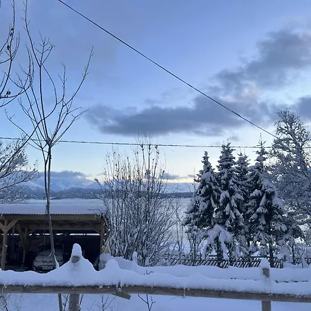 Cc's House アパート *