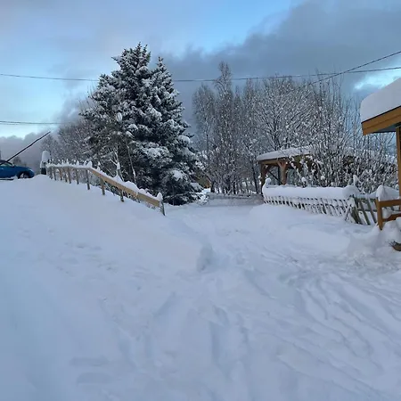 Cc's House アパート *