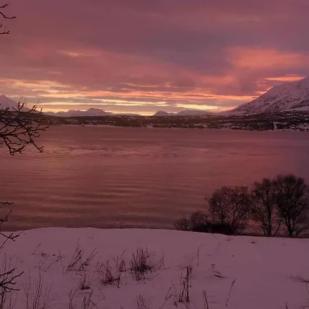 アパート Cc's House *