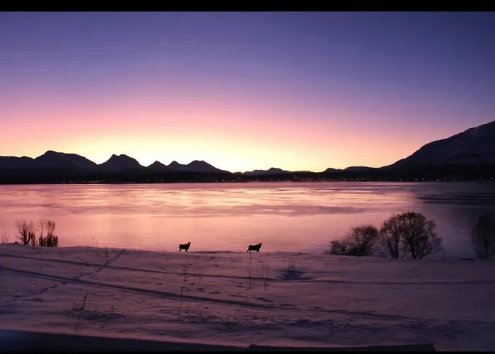 Cc's House Апартаменты