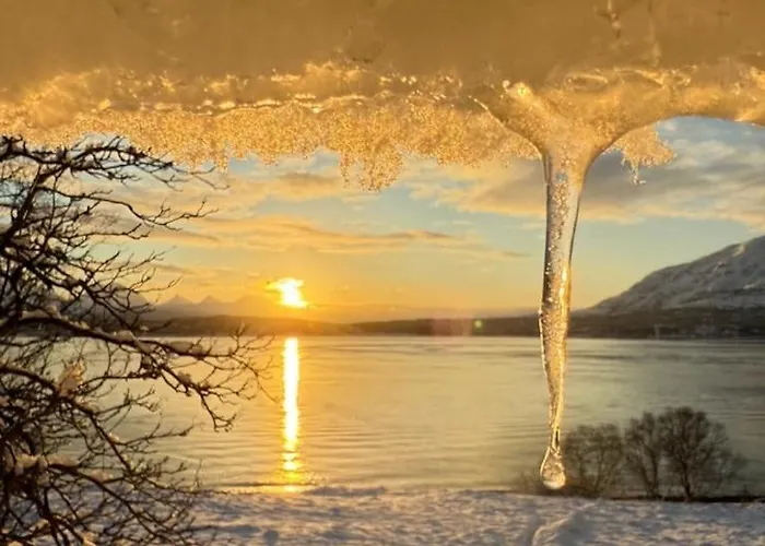 Cc's House Апартаменты Тромсё