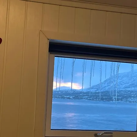Cc's House
